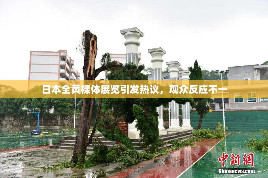 日本全黄裸体展览引发热议，观众反应不一