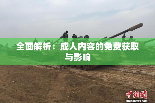 全面解析：成人内容的免费获取与影响