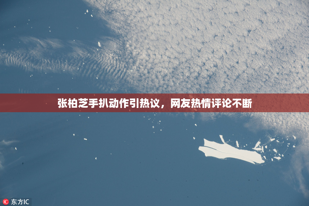 张柏芝手扒动作引热议，网友热情评论不断