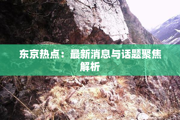东京热点：最新消息与话题聚焦解析