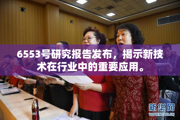 6553号研究报告发布，揭示新技术在行业中的重要应用。