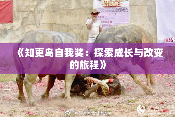 《知更鸟自我奖：探索成长与改变的旅程》