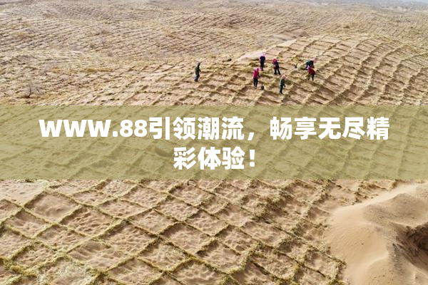 WWW.88引领潮流，畅享无尽精彩体验！