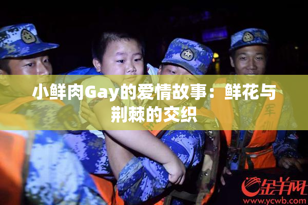 小鲜肉Gay的爱情故事：鲜花与荆棘的交织