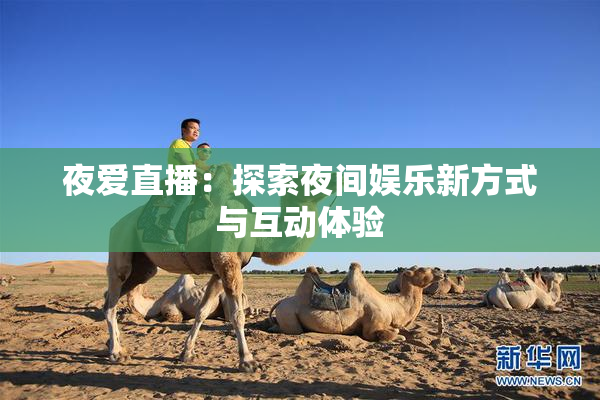 夜爱直播：探索夜间娱乐新方式与互动体验