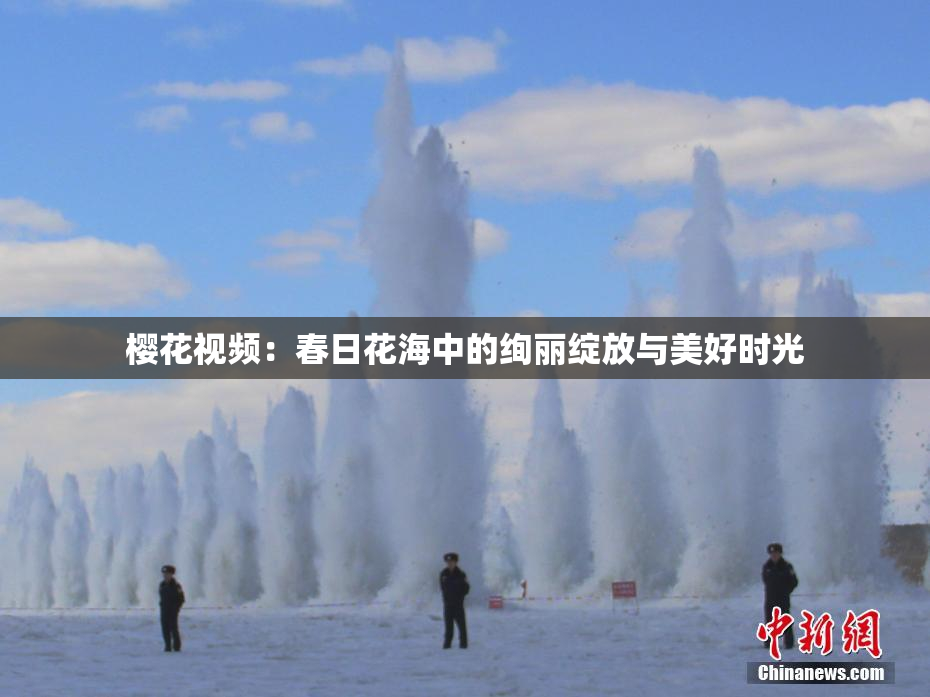 樱花视频：春日花海中的绚丽绽放与美好时光