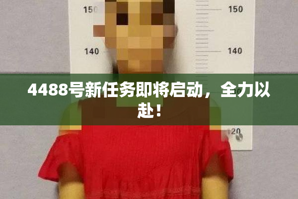 4488号新任务即将启动，全力以赴！