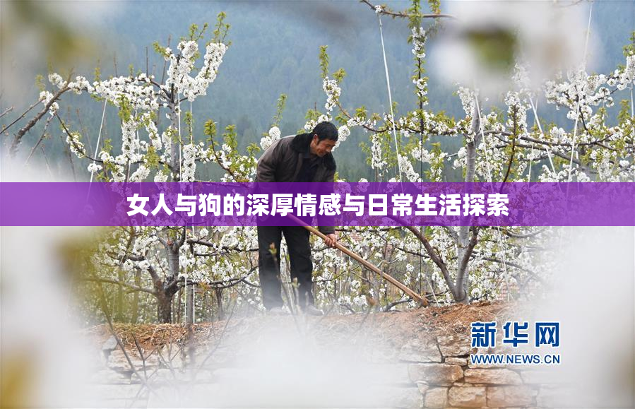 女人与狗的深厚情感与日常生活探索