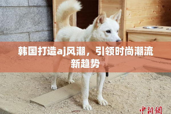 韩国打造aj风潮，引领时尚潮流新趋势