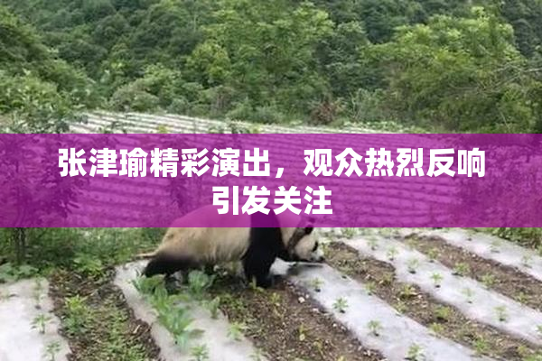 张津瑜精彩演出，观众热烈反响引发关注