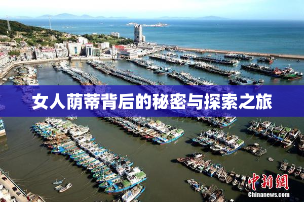 女人荫蒂背后的秘密与探索之旅