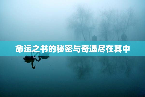 命运之书的秘密与奇遇尽在其中