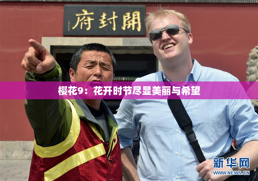 樱花9：花开时节尽显美丽与希望
