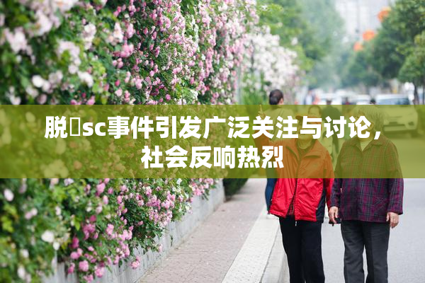 脱糞sc事件引发广泛关注与讨论，社会反响热烈