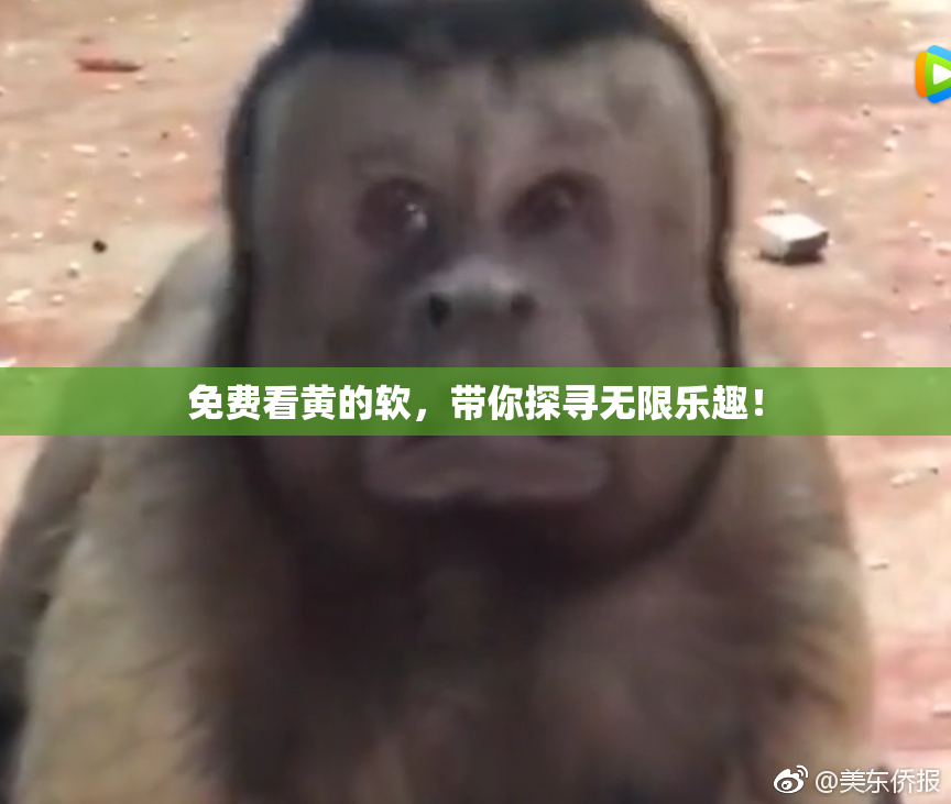 免费看黄的软，带你探寻无限乐趣！