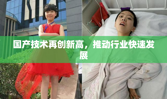 国产技术再创新高，推动行业快速发展