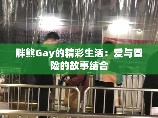胖熊Gay的精彩生活：爱与冒险的故事结合