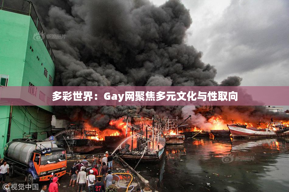 多彩世界：Gay网聚焦多元文化与性取向