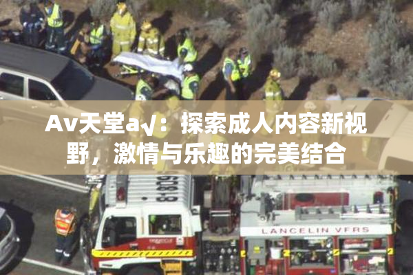 Av天堂a√：探索成人内容新视野，激情与乐趣的完美结合