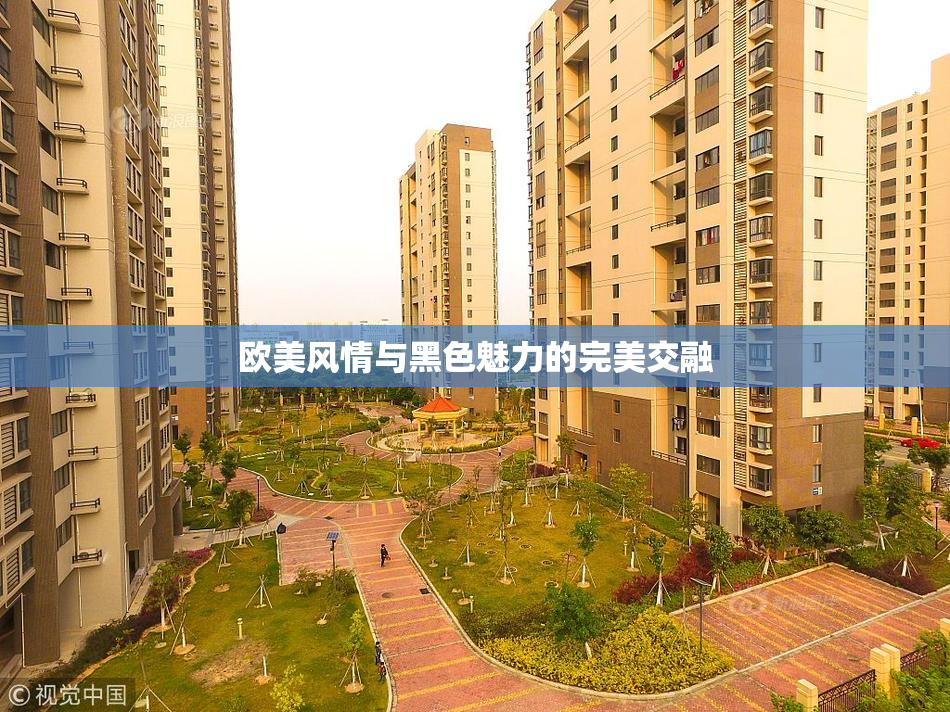 欧美风情与黑色魅力的完美交融