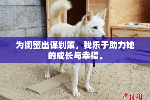 为闺蜜出谋划策，我乐于助力她的成长与幸福。