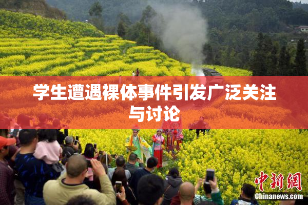 学生遭遇裸体事件引发广泛关注与讨论