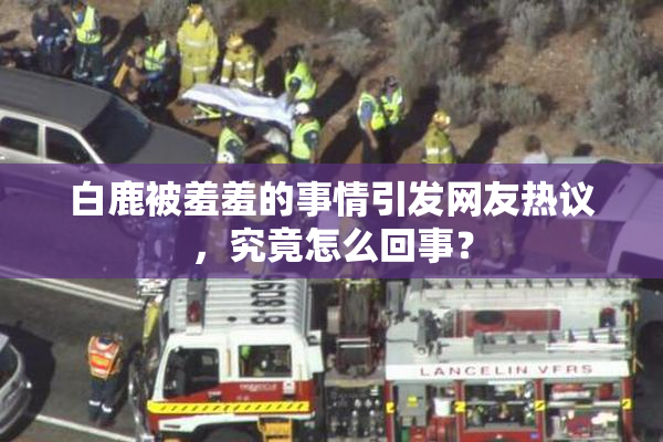 白鹿被羞羞的事情引发网友热议，究竟怎么回事？
