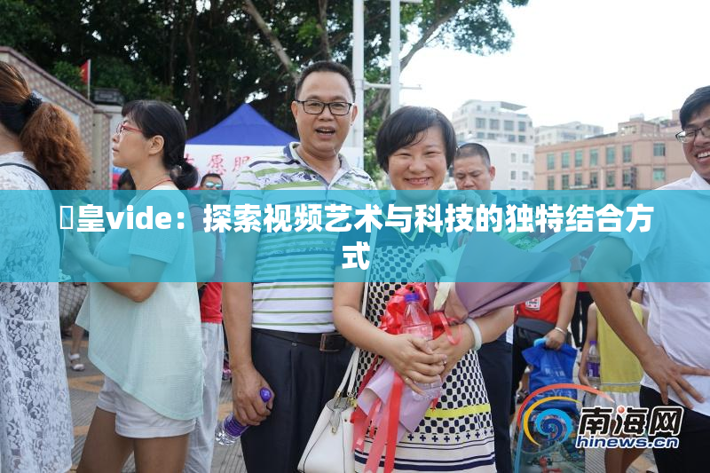 嘼皇vide：探索视频艺术与科技的独特结合方式