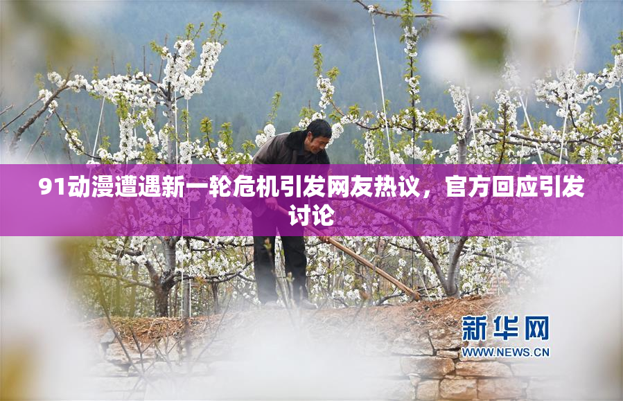 91动漫遭遇新一轮危机引发网友热议，官方回应引发讨论