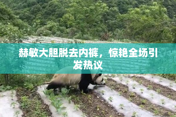 赫敏大胆脱去内裤，惊艳全场引发热议