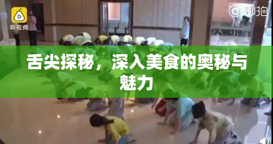 舌尖探秘，深入美食的奥秘与魅力