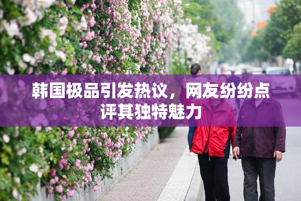 韩国极品引发热议，网友纷纷点评其独特魅力
