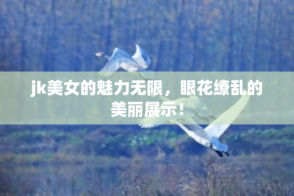 jk美女的魅力无限，眼花缭乱的美丽展示！