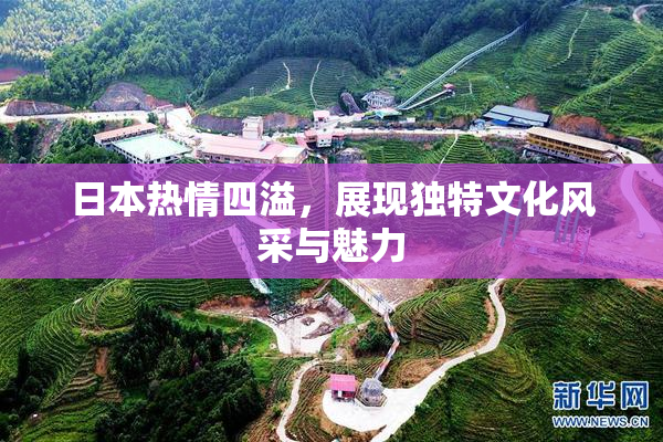 日本热情四溢，展现独特文化风采与魅力