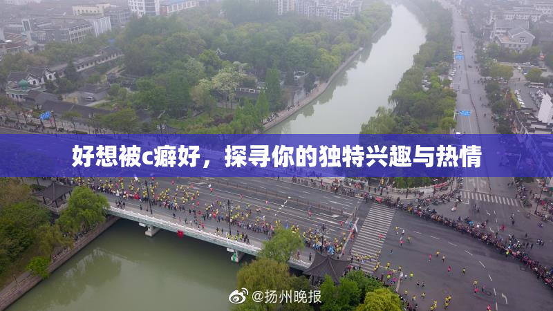 好想被c癖好，探寻你的独特兴趣与热情