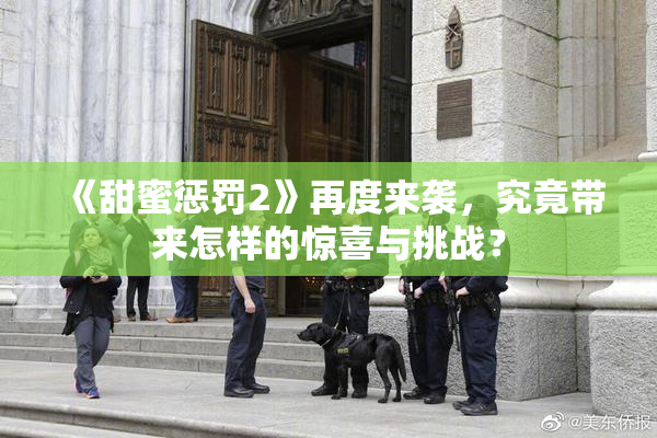 《甜蜜惩罚2》再度来袭，究竟带来怎样的惊喜与挑战？