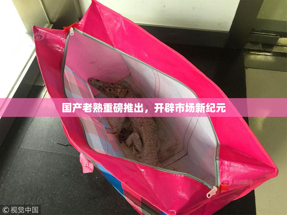 国产老熟重磅推出，开辟市场新纪元
