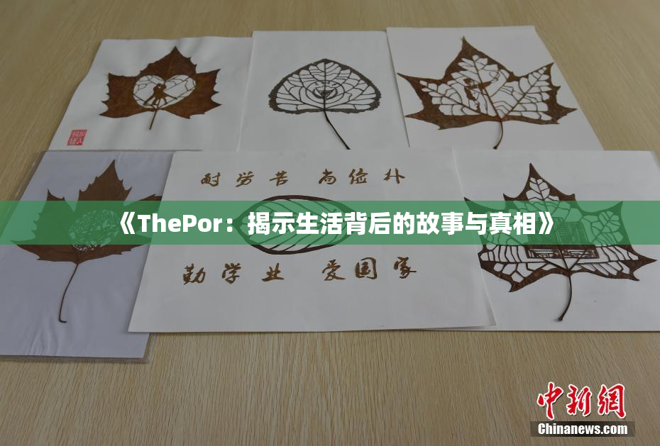 《ThePor：揭示生活背后的故事与真相》