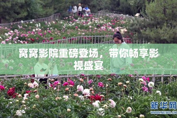 窝窝影院重磅登场，带你畅享影视盛宴