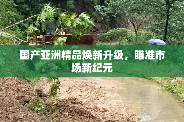 国产亚洲精品焕新升级，瞄准市场新纪元