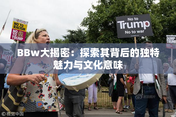 BBw大揭密：探索其背后的独特魅力与文化意味