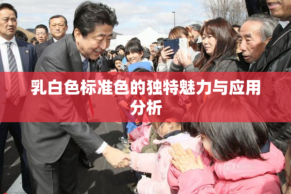 乳白色标准色的独特魅力与应用分析