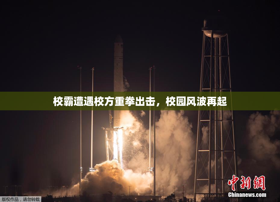 校霸遭遇校方重拳出击，校园风波再起