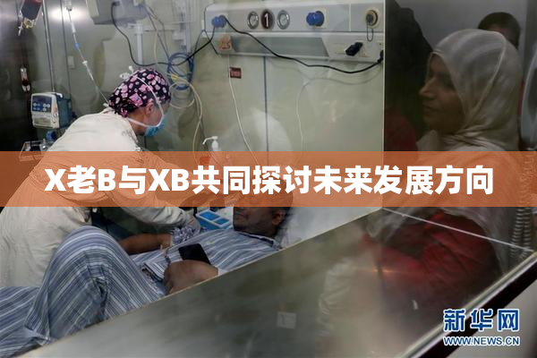 X老B与XB共同探讨未来发展方向