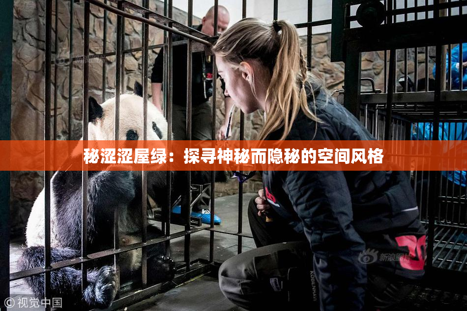 秘涩涩屋绿：探寻神秘而隐秘的空间风格