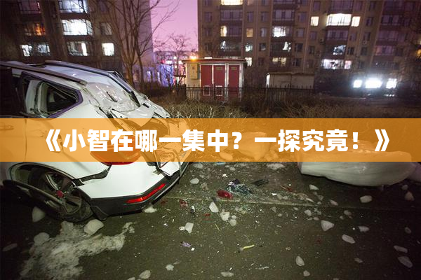 《小智在哪一集中？一探究竟！》