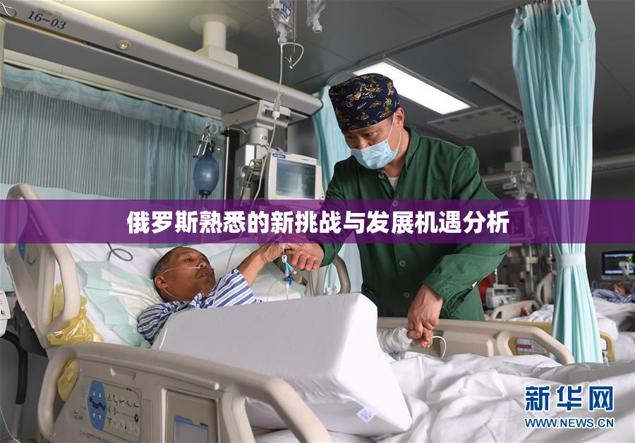 俄罗斯熟悉的新挑战与发展机遇分析