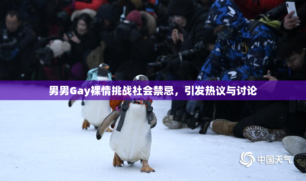 男男Gay裸情挑战社会禁忌，引发热议与讨论