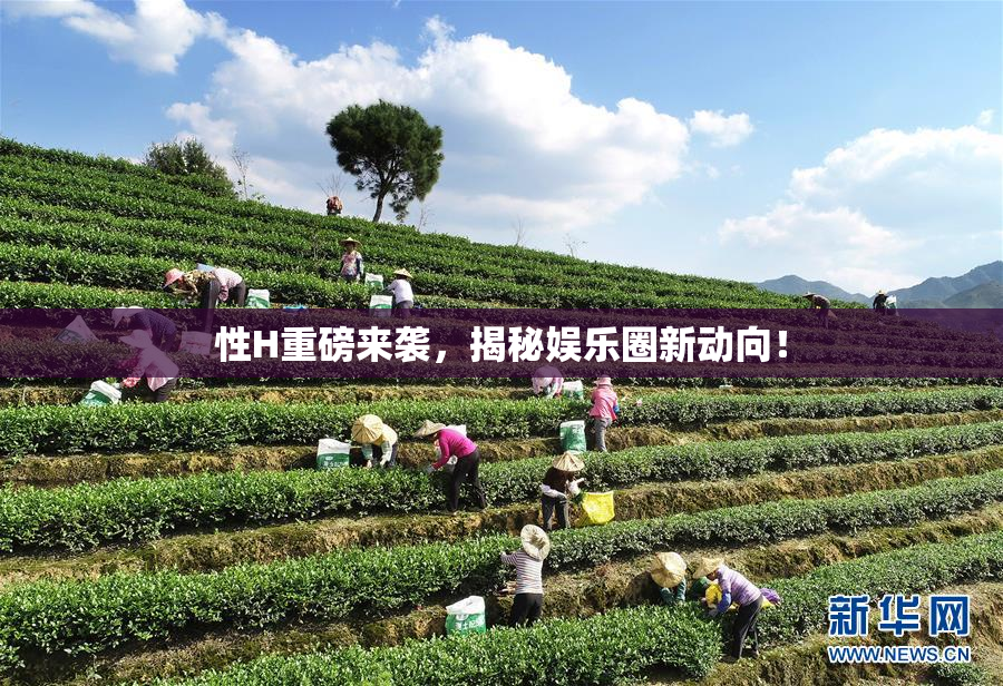 性H重磅来袭，揭秘娱乐圈新动向！