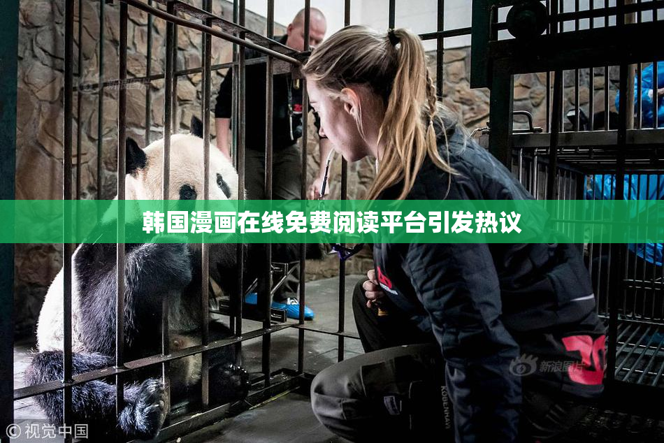 韩国漫画在线免费阅读平台引发热议